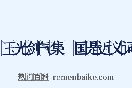 玉光剑气集·国是近义词是什么意思的图片